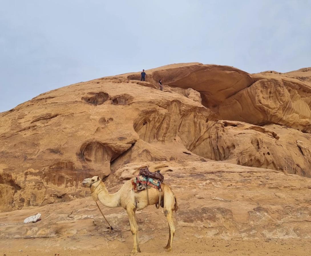 Wadi Rum Hugo Camp Exterior photo