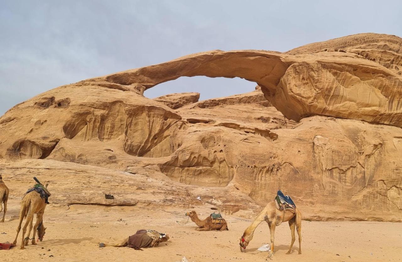 Wadi Rum Hugo Camp Exterior photo